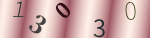 認証画像
