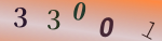 認証画像