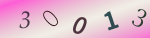 認証画像