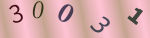 認証画像