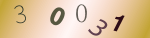 認証画像