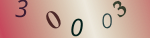 認証画像