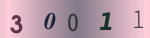認証画像