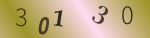 認証画像