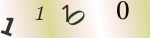 認証画像