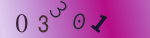 認証画像