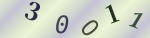 認証画像