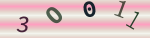 認証画像