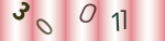 認証画像