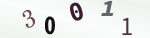 認証画像