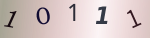 認証画像