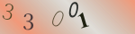 認証画像