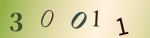 認証画像