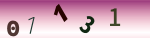 認証画像