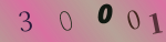 認証画像
