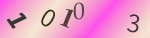 認証画像