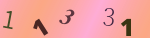 認証画像