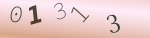 認証画像
