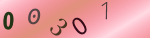 認証画像
