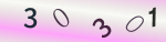 認証画像