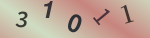 認証画像
