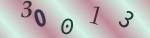 認証画像