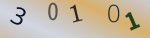 認証画像