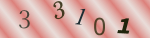 認証画像
