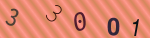 認証画像