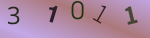 認証画像
