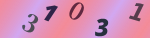 認証画像
