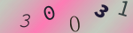 認証画像