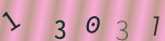 認証画像