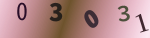 認証画像
